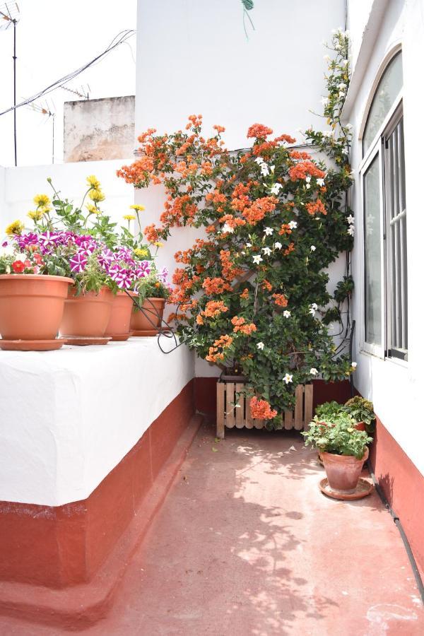 Veedor 12 Daire Cadiz Dış mekan fotoğraf